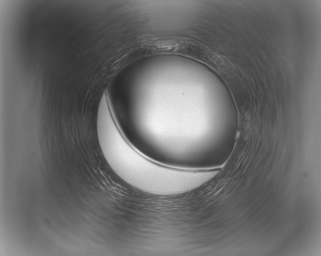 X0000071901394200607070907