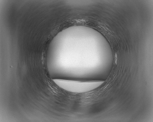 X0000071901395200607070907