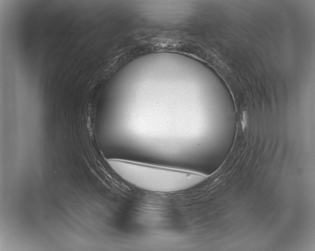 X0000071901396200607070907