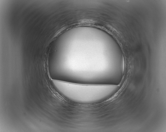 X0000071901401200607070907