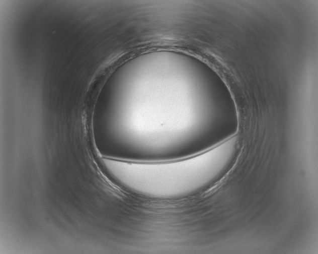 X0000071901402200607070907
