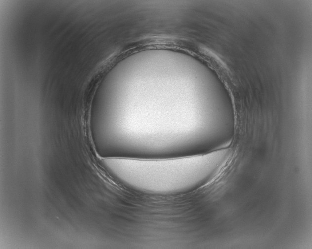 X0000071901403200607070907