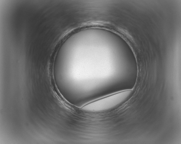 X0000071901404200607070907