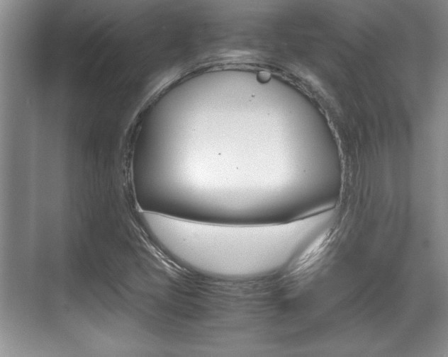 X0000071901405200607070907