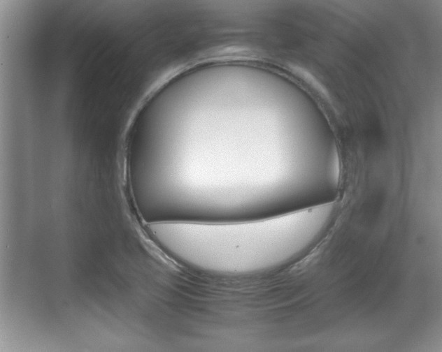 X0000071901413200607070907