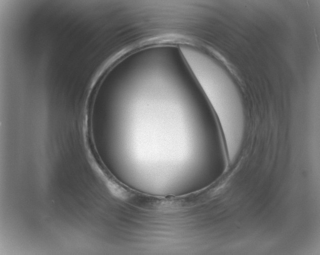 X0000071901418200607070907
