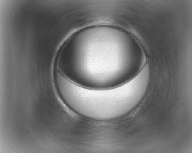 X0000071901422200607070908