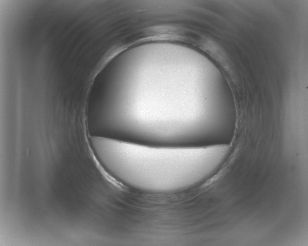 X0000071901425200607070908