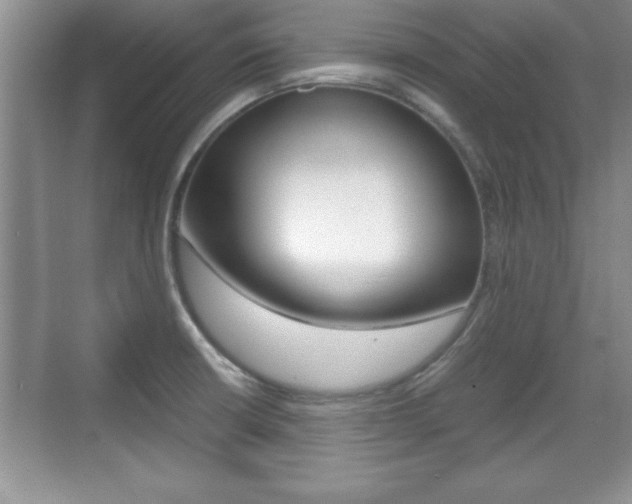 X0000071901426200607070908