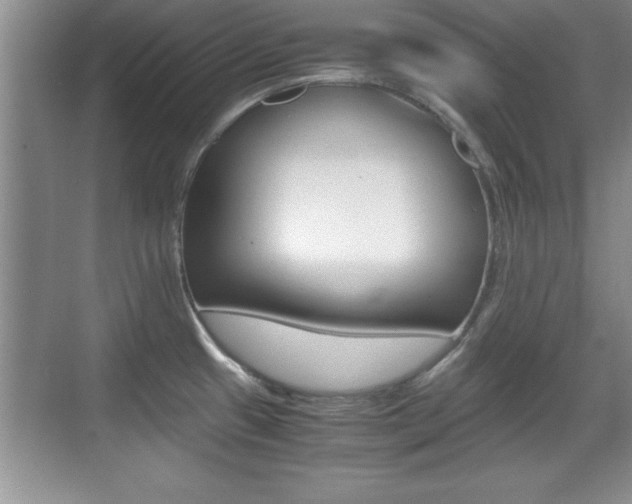 X0000071901433200607070908