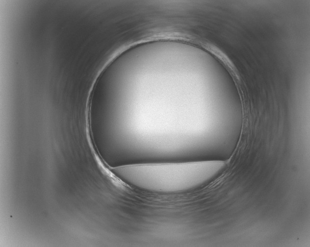 X0000071901439200607070908
