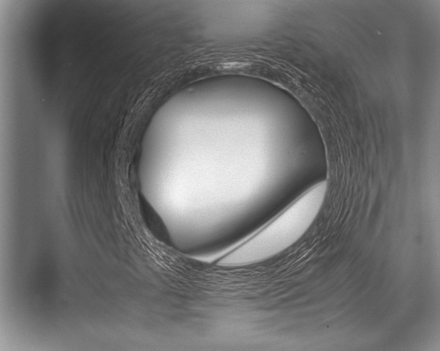 X0000071901441200607070907