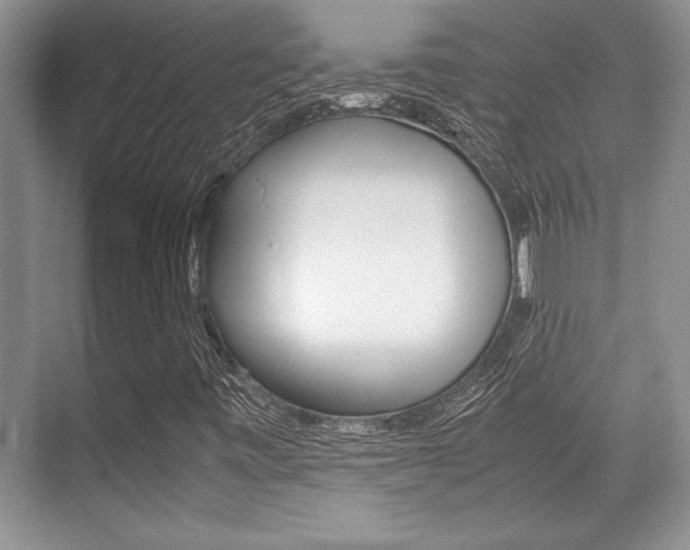 X0000071901443200607070907