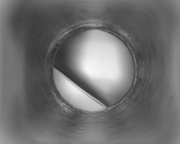 X0000071901448200607070907