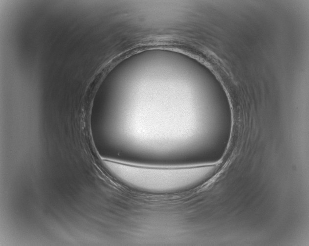 X0000071901449200607070907
