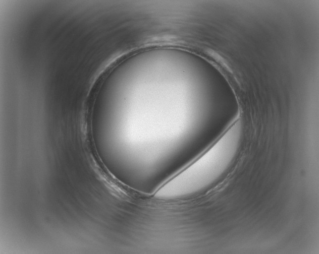 X0000071901458200607070907