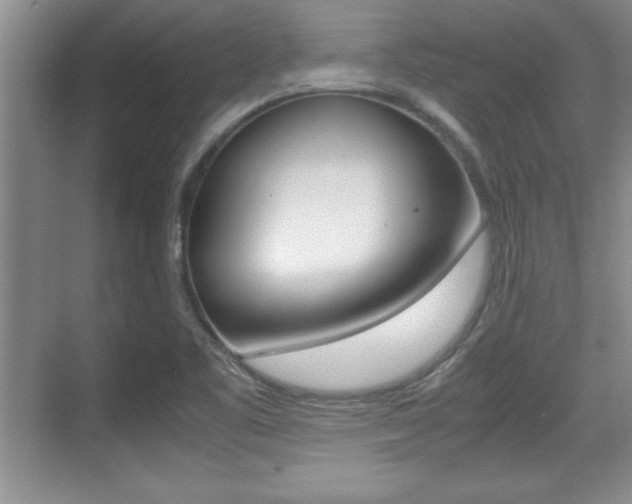 X0000071901461200607070907