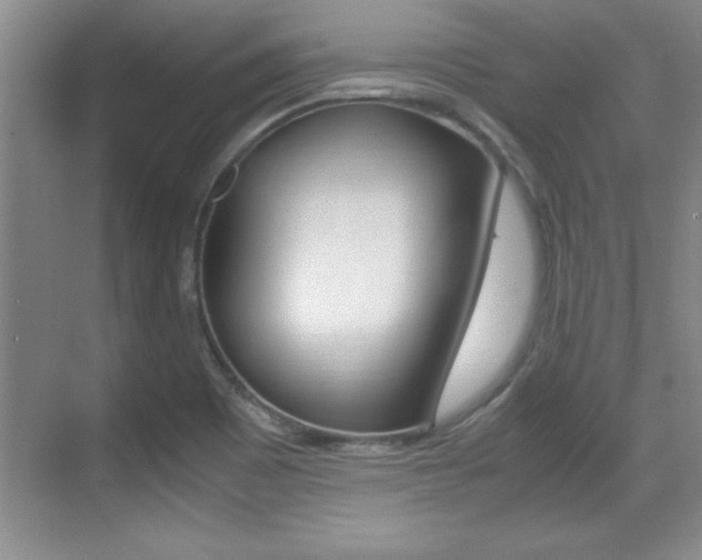 X0000071901465200607070907