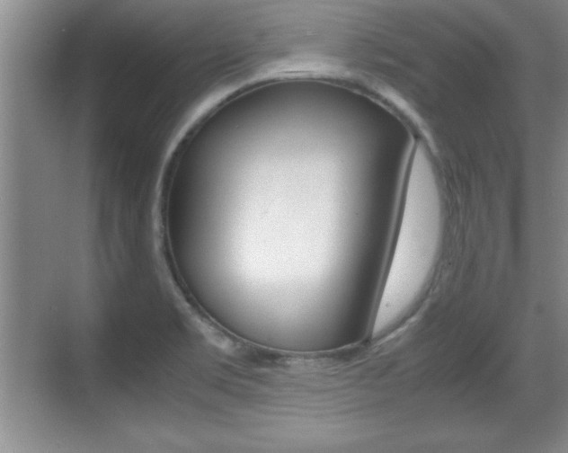 X0000071901469200607070907