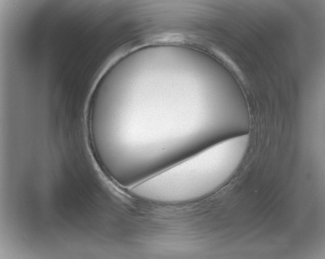 X0000071901475200607070906