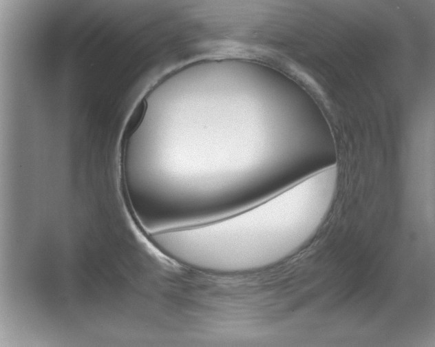 X0000071901479200607070906