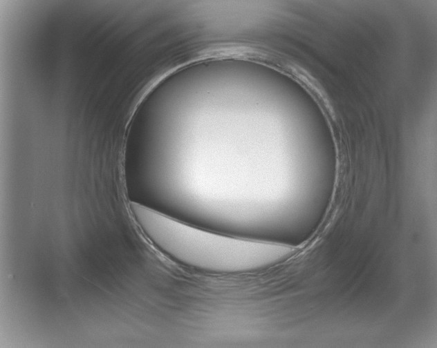 X0000071901481200607070906