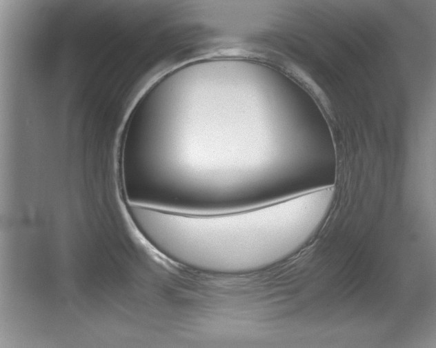 X0000071901483200607070906