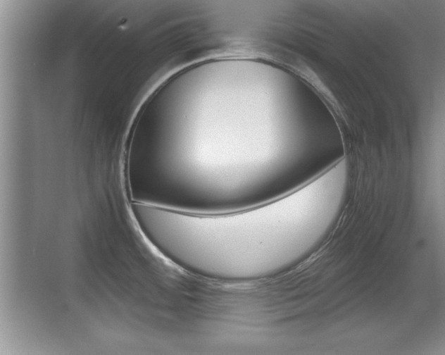 X0000071901484200607070906