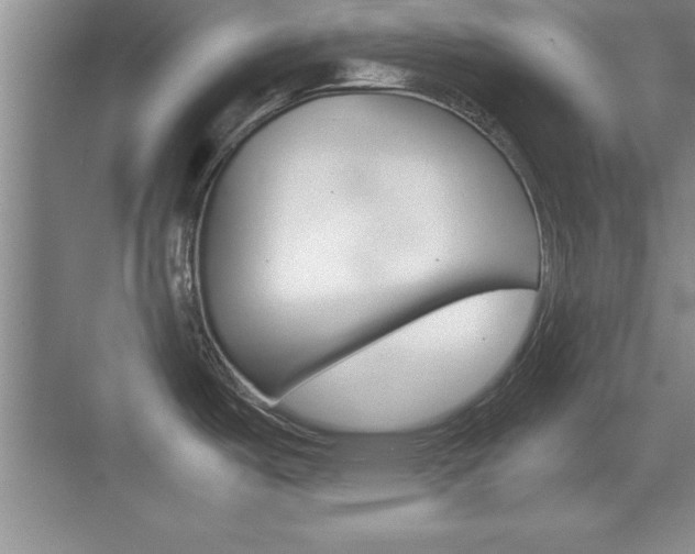 X0000071901487200607070906