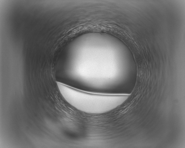 X0000071901490200607070905