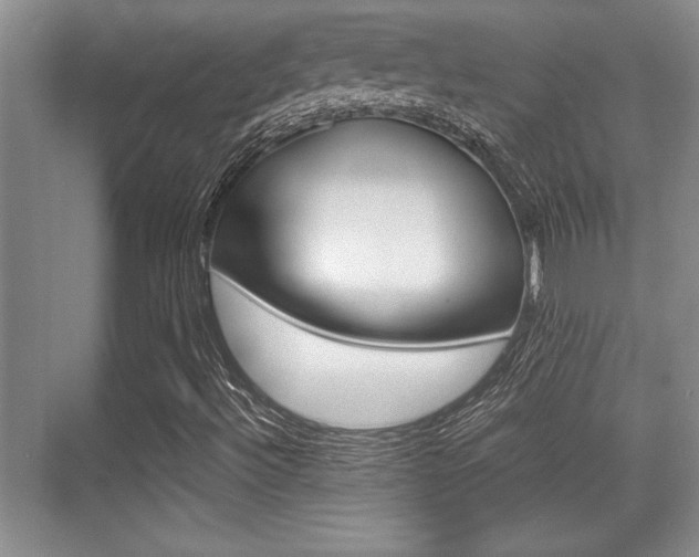 X0000071901492200607070905