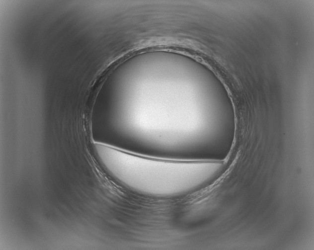 X0000071901497200607070906