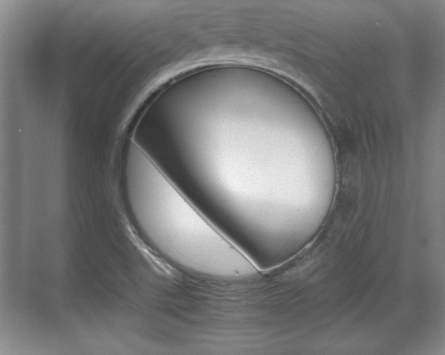 X0000071901507200607070906
