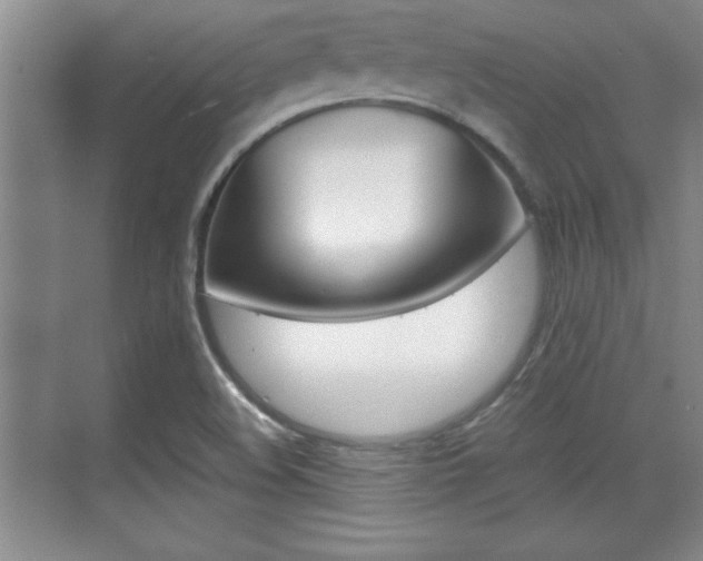 X0000071901508200607070906