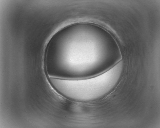X0000071901512200607070906
