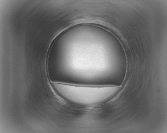 X0000071901513200607070906