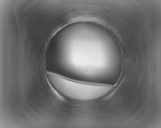 X0000071901521200607070906