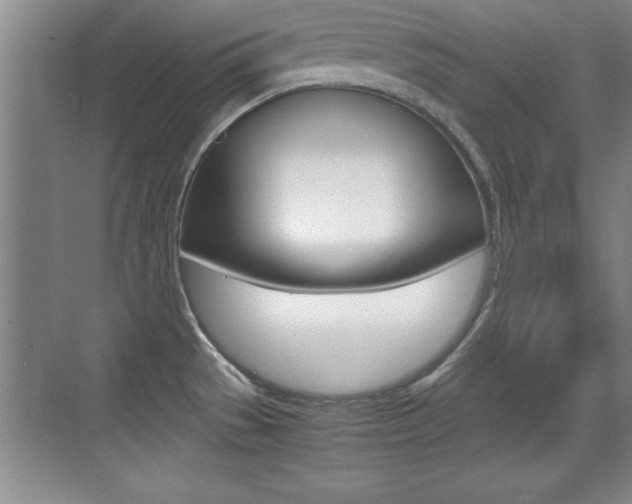 X0000071901529200607070906