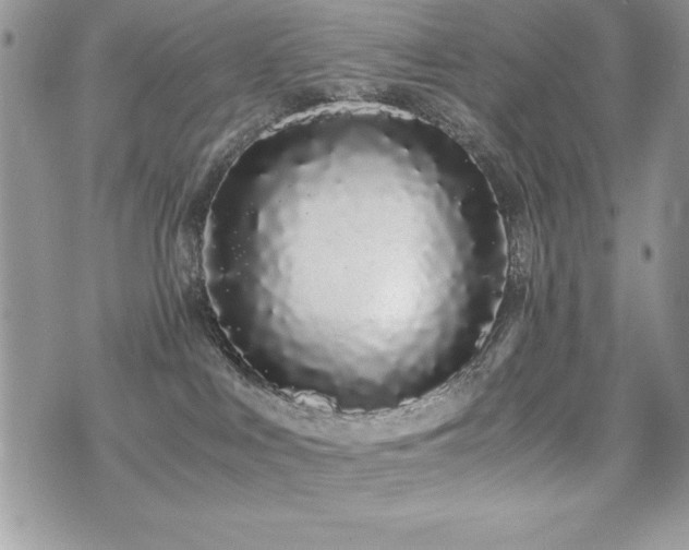 X0000071900043200607071118