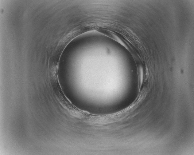 X0000071900045200607071118