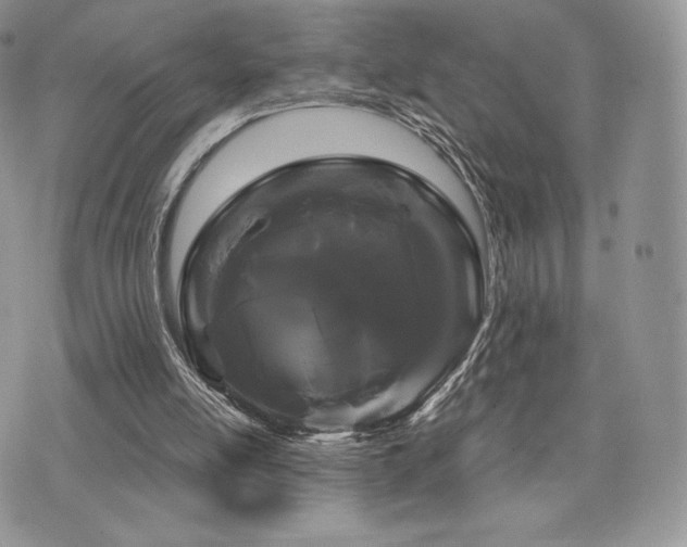 X0000071900054200607071117