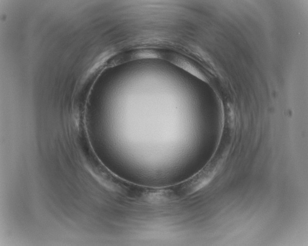 X0000071900072200607071117