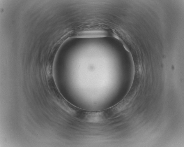 X0000071900081200607071117