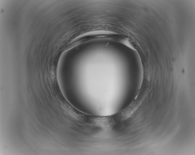 X0000071900085200607071117