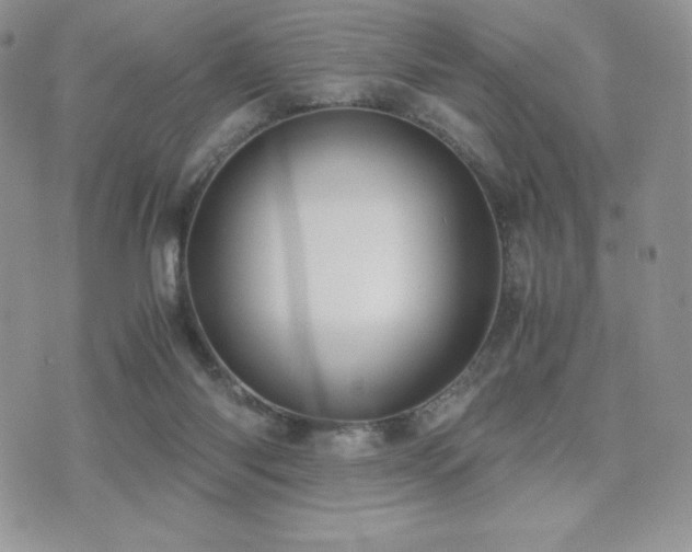X0000071900118200607071116