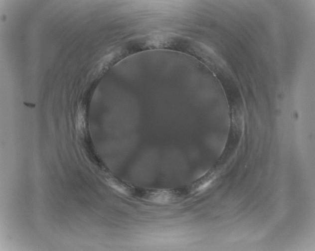 X0000071900127200607071116