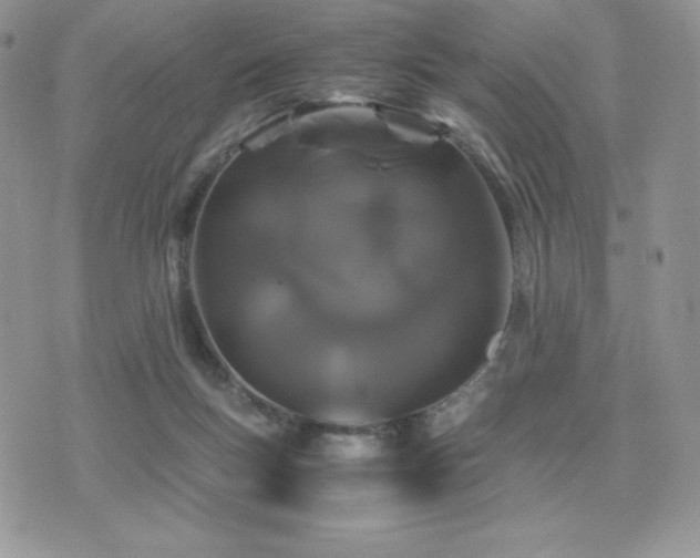 X0000071900167200607071116