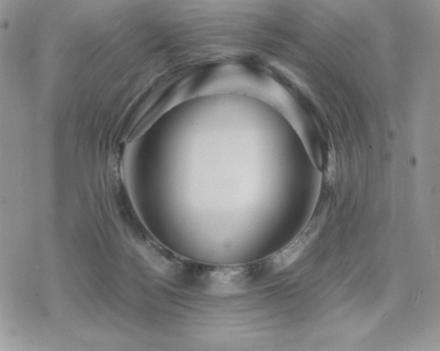 X0000071900172200607071116
