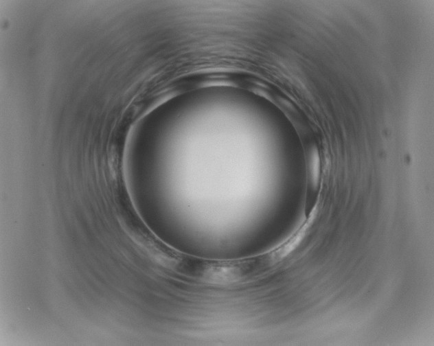 X0000071900174200607071116