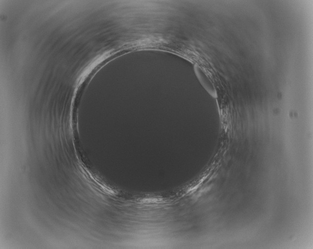 X0000071900196200607071115